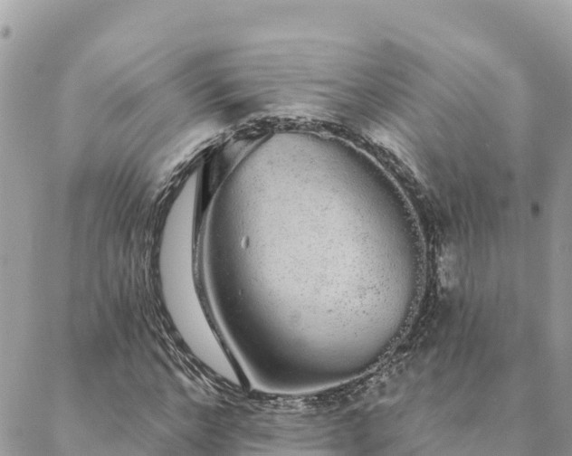 X0000088590968200706011133