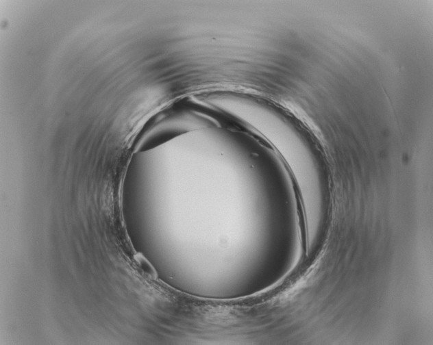 X0000088590969200706011133