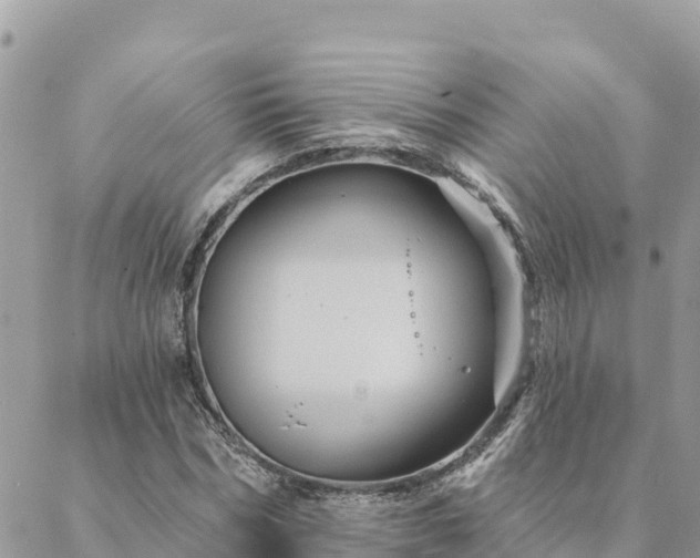 X0000088590970200706011133