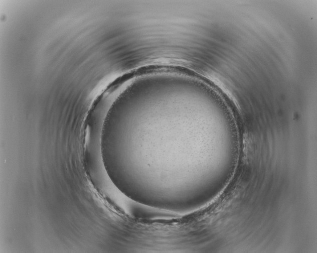 X0000088590972200706011133