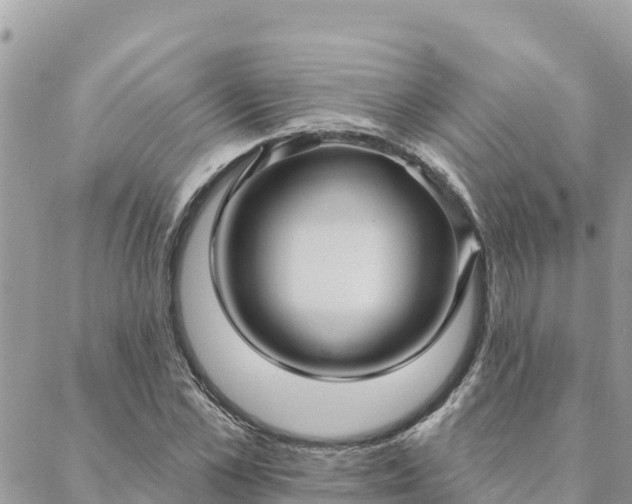 X0000088590973200706011133