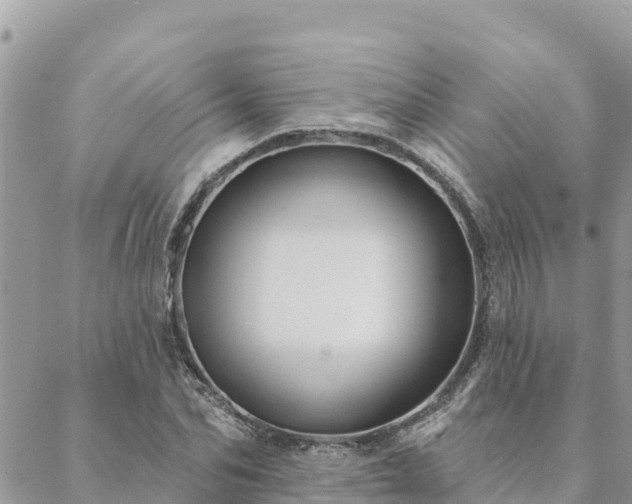 X0000088590974200706011133