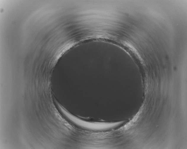 X0000088590977200706011133