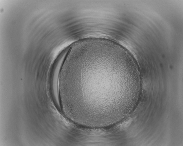 X0000088590979200706011133