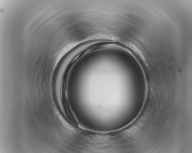 X0000088590981200706011133