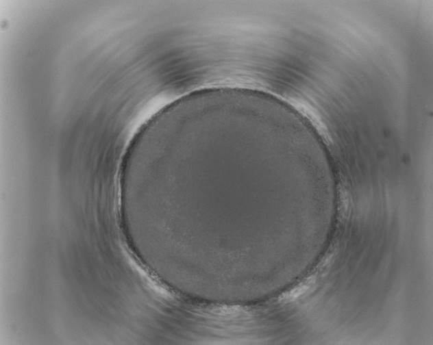 X0000088590982200706011133