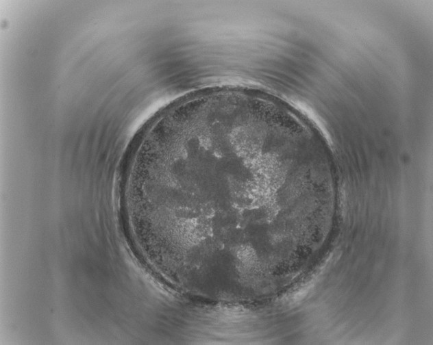 X0000088590983200706011133