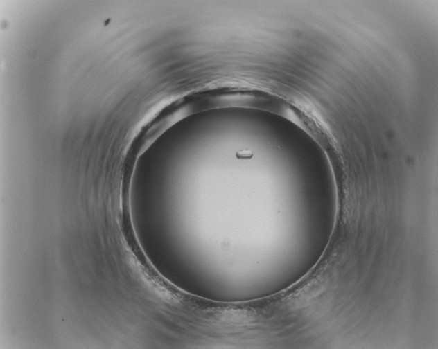 X0000088590984200706011133