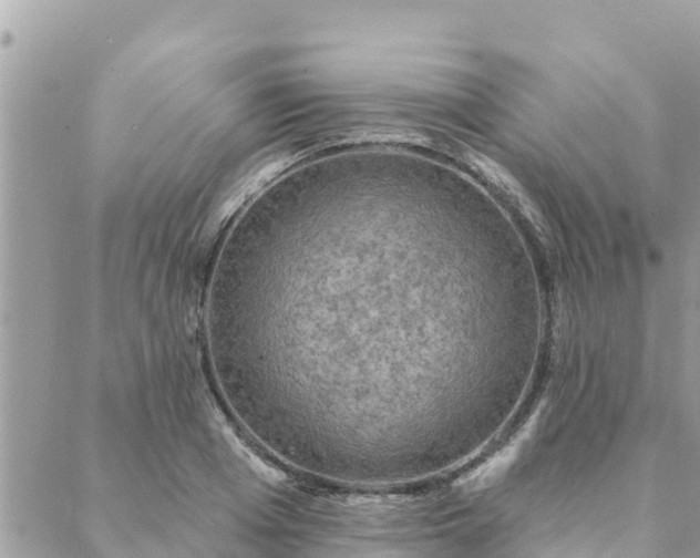 X0000088590985200706011133