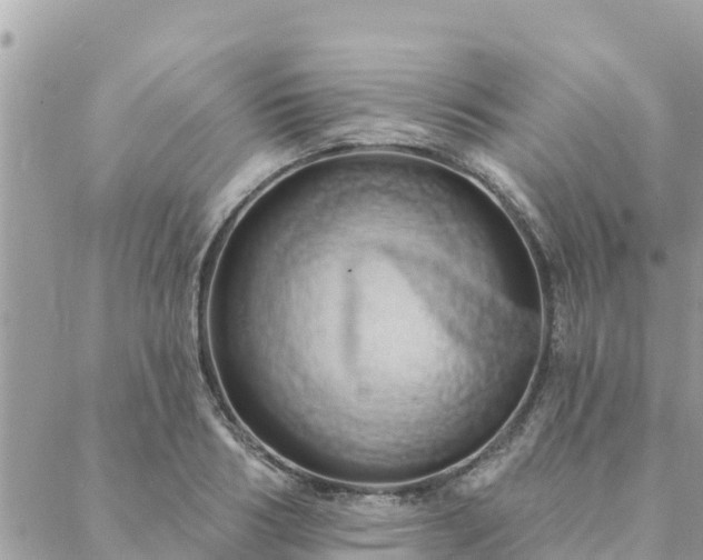 X0000088590986200706011133