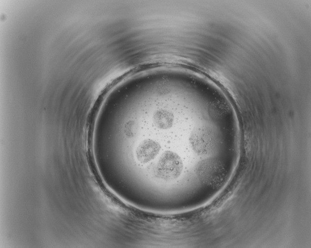 X0000088590987200706011133