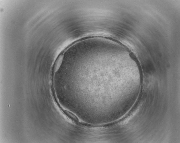 X0000088590989200706011133