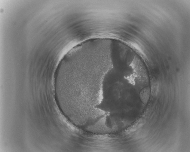 X0000088590990200706011133