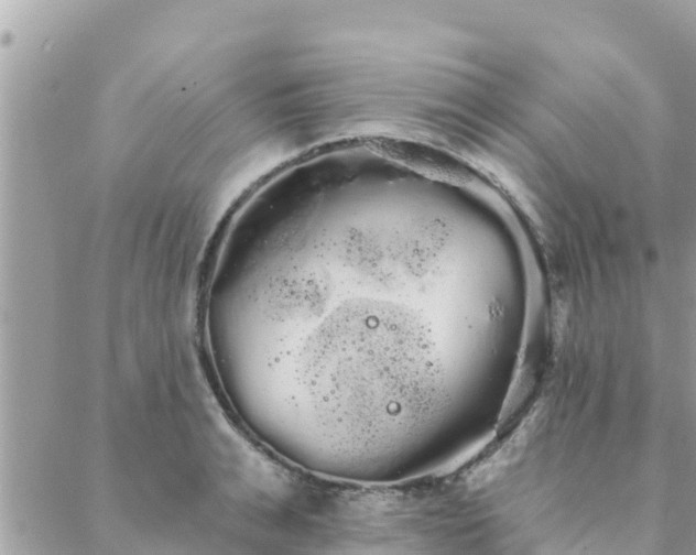 X0000088590991200706011133