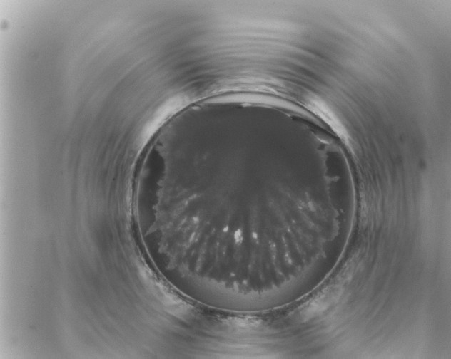 X0000088590994200706011133