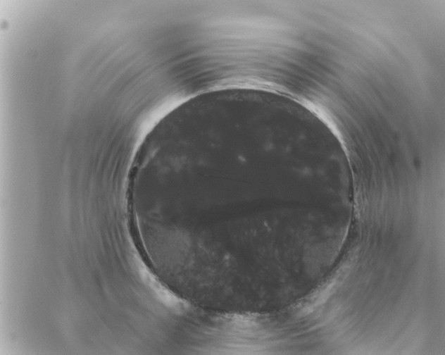 X0000088590995200706011133