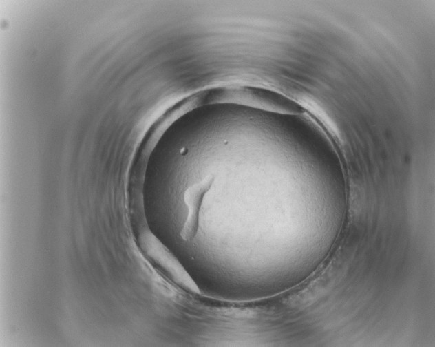 X0000088590996200706011133