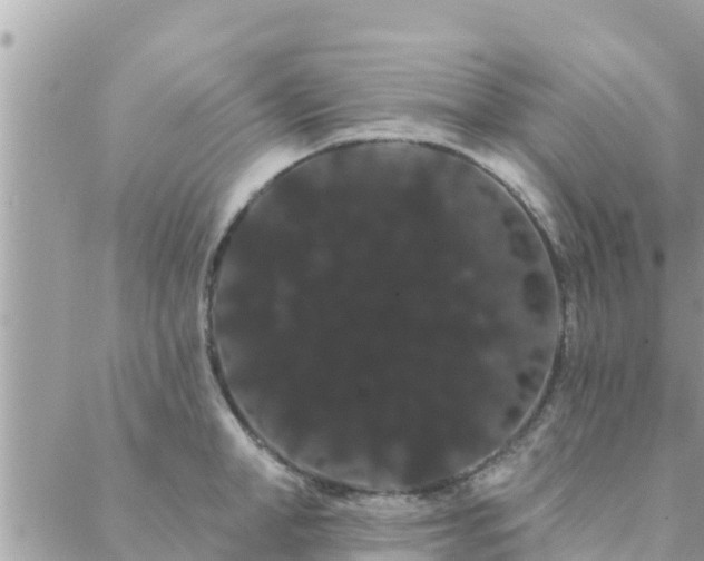 X0000088590998200706011133