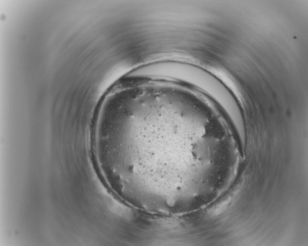 X0000088590999200706011133