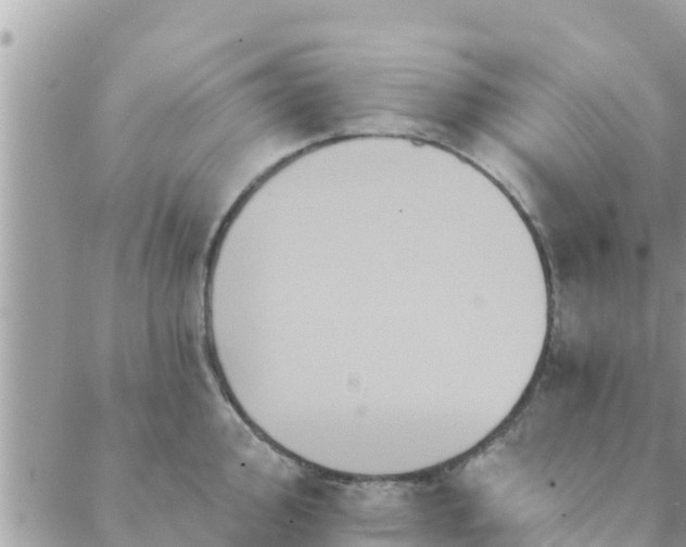 X0000088591000200706011133