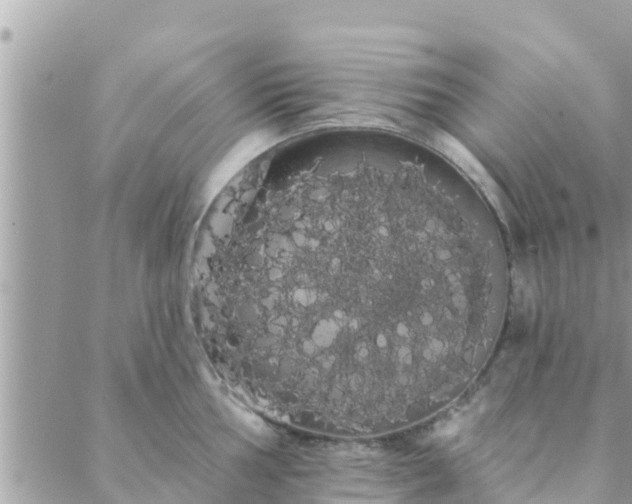 X0000088591002200706011133