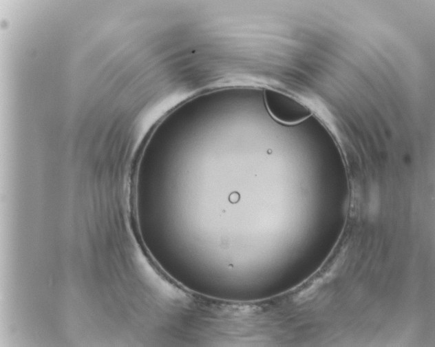 X0000088591003200706011133