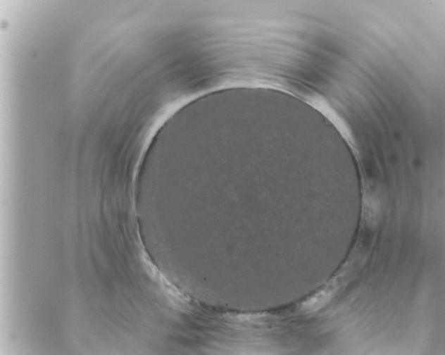 X0000088591004200706011133