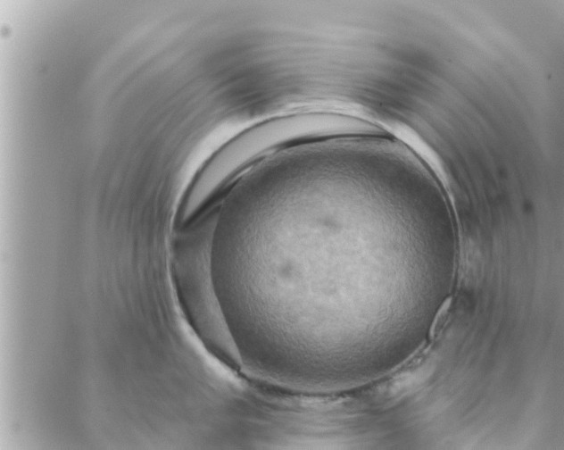 X0000088591005200706011133