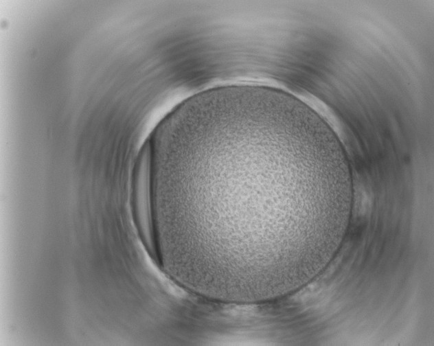 X0000088591006200706011133