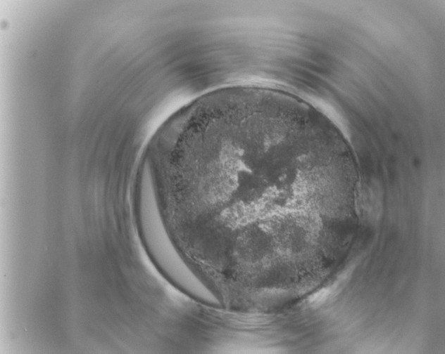 X0000088591007200706011133