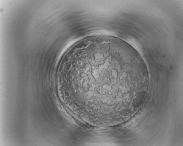 X0000088591008200706011133