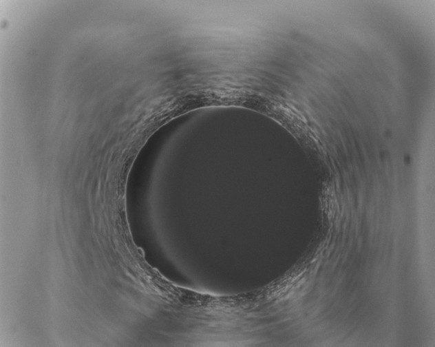 X0000088591009200706011132