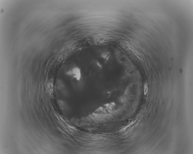 X0000088591011200706011132