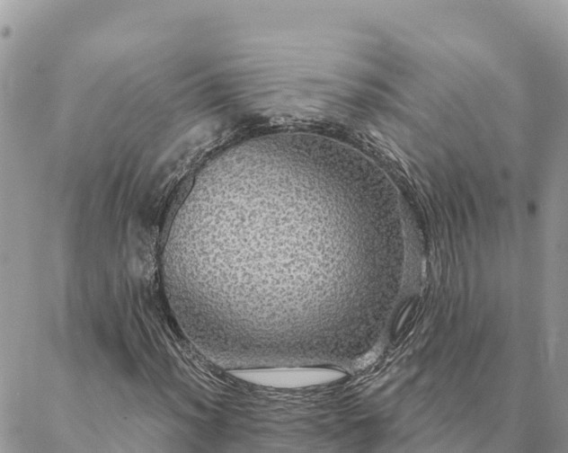 X0000088591012200706011132