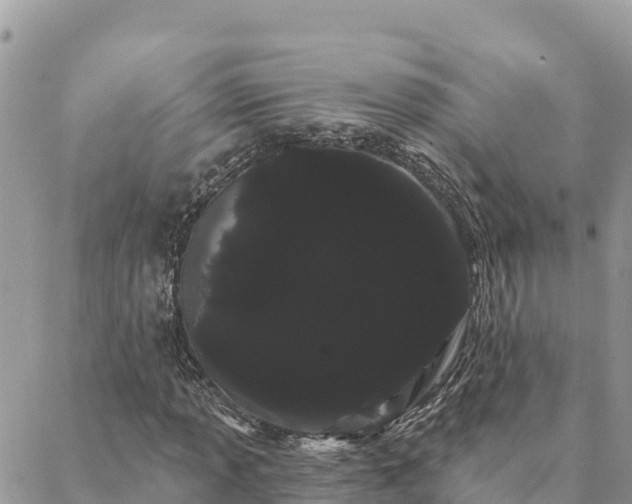 X0000088591013200706011132