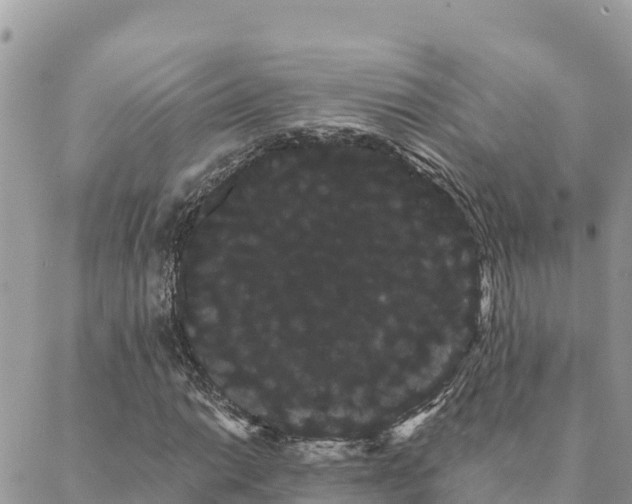 X0000088591014200706011132