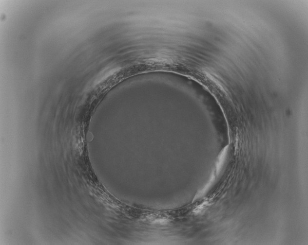 X0000088591015200706011132