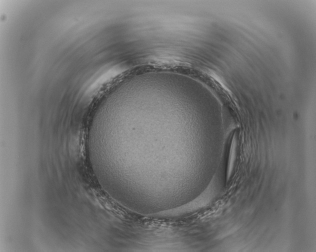 X0000088591016200706011132