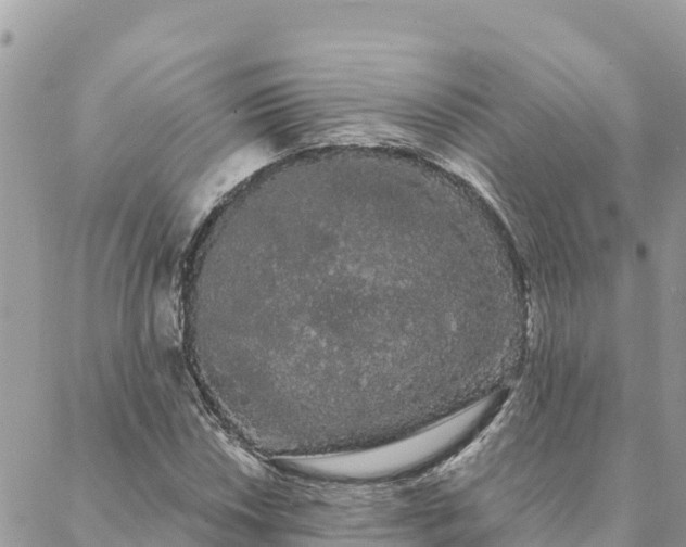 X0000088591018200706011132