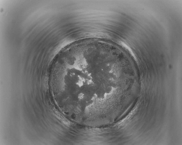 X0000088591019200706011132