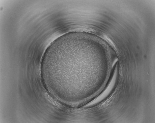 X0000088591020200706011132