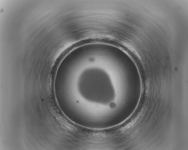 X0000088591021200706011132