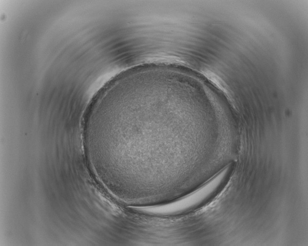 X0000088591022200706011132