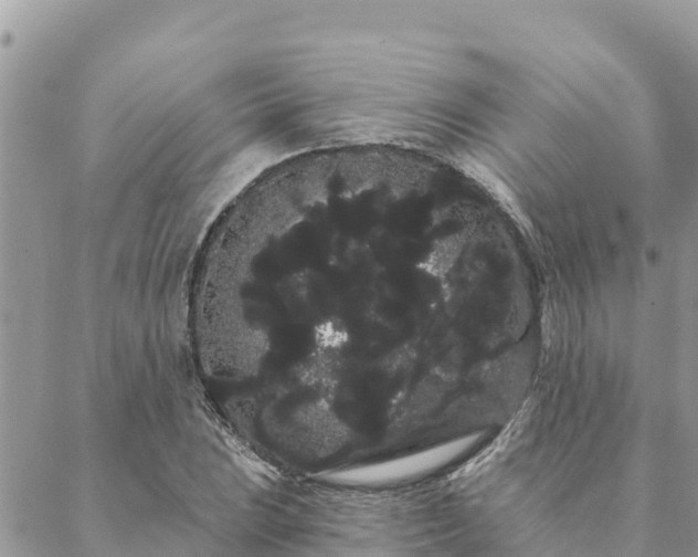 X0000088591023200706011132