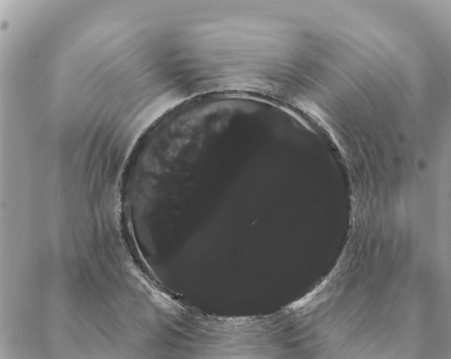 X0000088591024200706011132