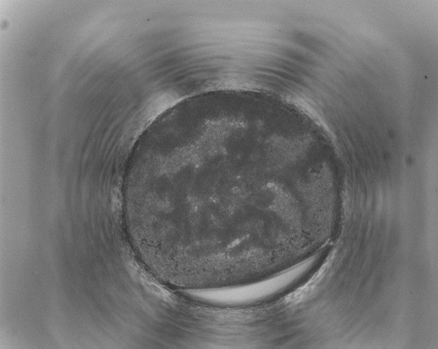 X0000088591025200706011132