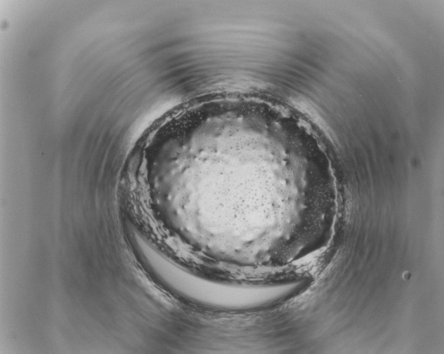 X0000088591026200706011132