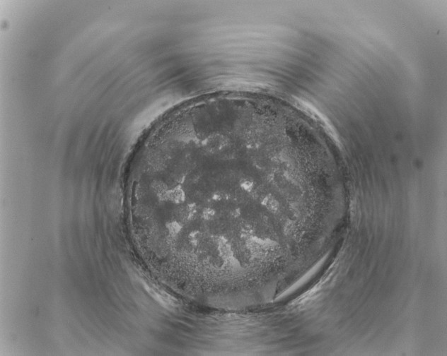 X0000088591027200706011132