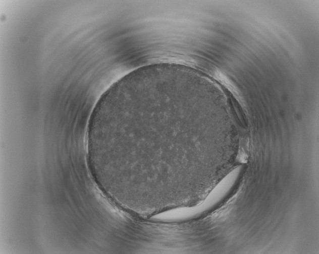 X0000088591028200706011132