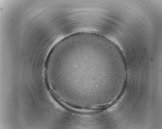 X0000088591029200706011132